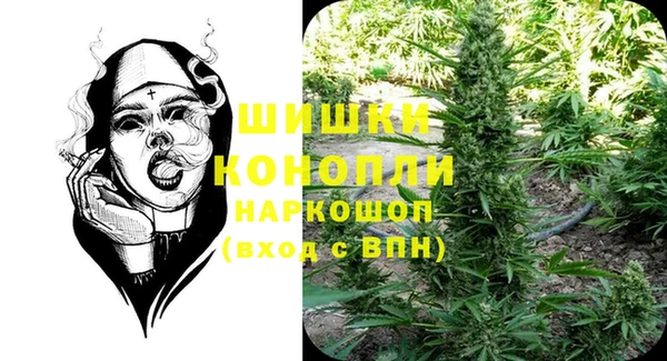 ПСИЛОЦИБИНОВЫЕ ГРИБЫ Ладушкин