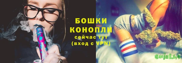 МДПВ Лагань