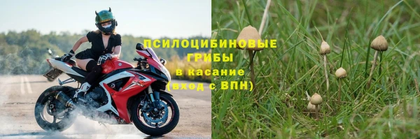 МДПВ Лагань