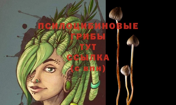 ПСИЛОЦИБИНОВЫЕ ГРИБЫ Ладушкин