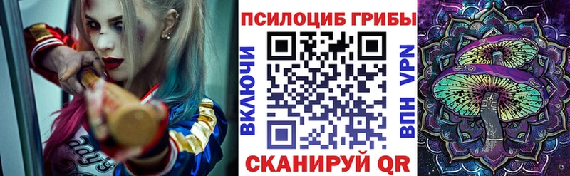 цены   Поворино  Псилоцибиновые грибы Magic Shrooms 